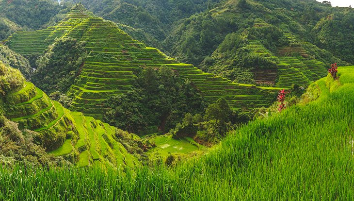 philippines-banaue-batad-rice-terraces.jpg