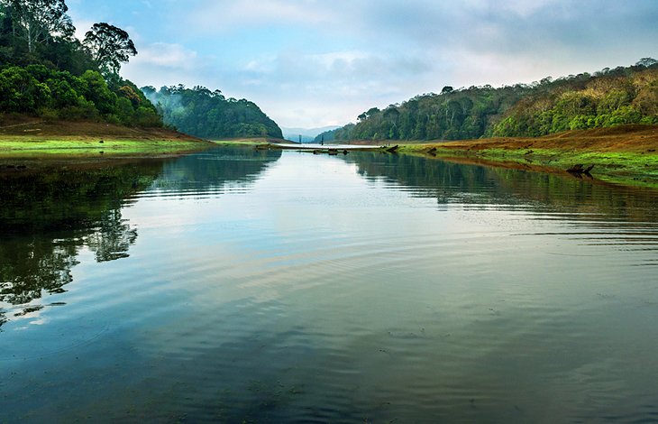 india-top-attractions-periyar-national-park-wildlife-sanctuary.jpg